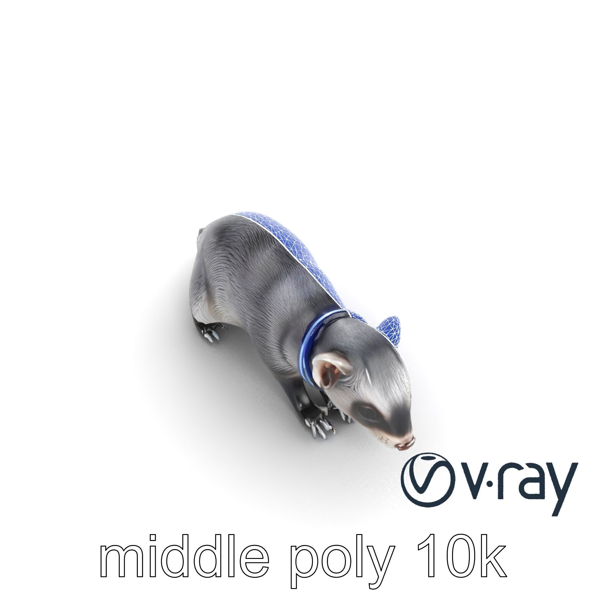 CyberClaw Ferret Tech Accessory model pack Low-poly 3D model_20