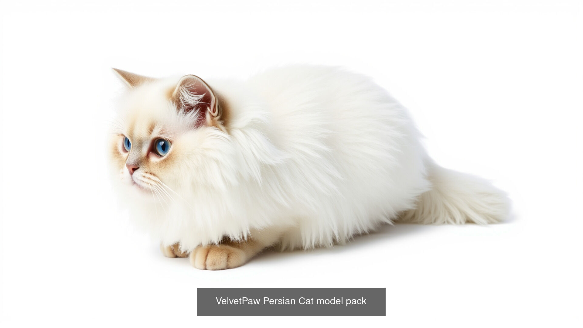 Mammal Animals Model Pack with Fish Dog Bird Cat 3D Model Collection_17