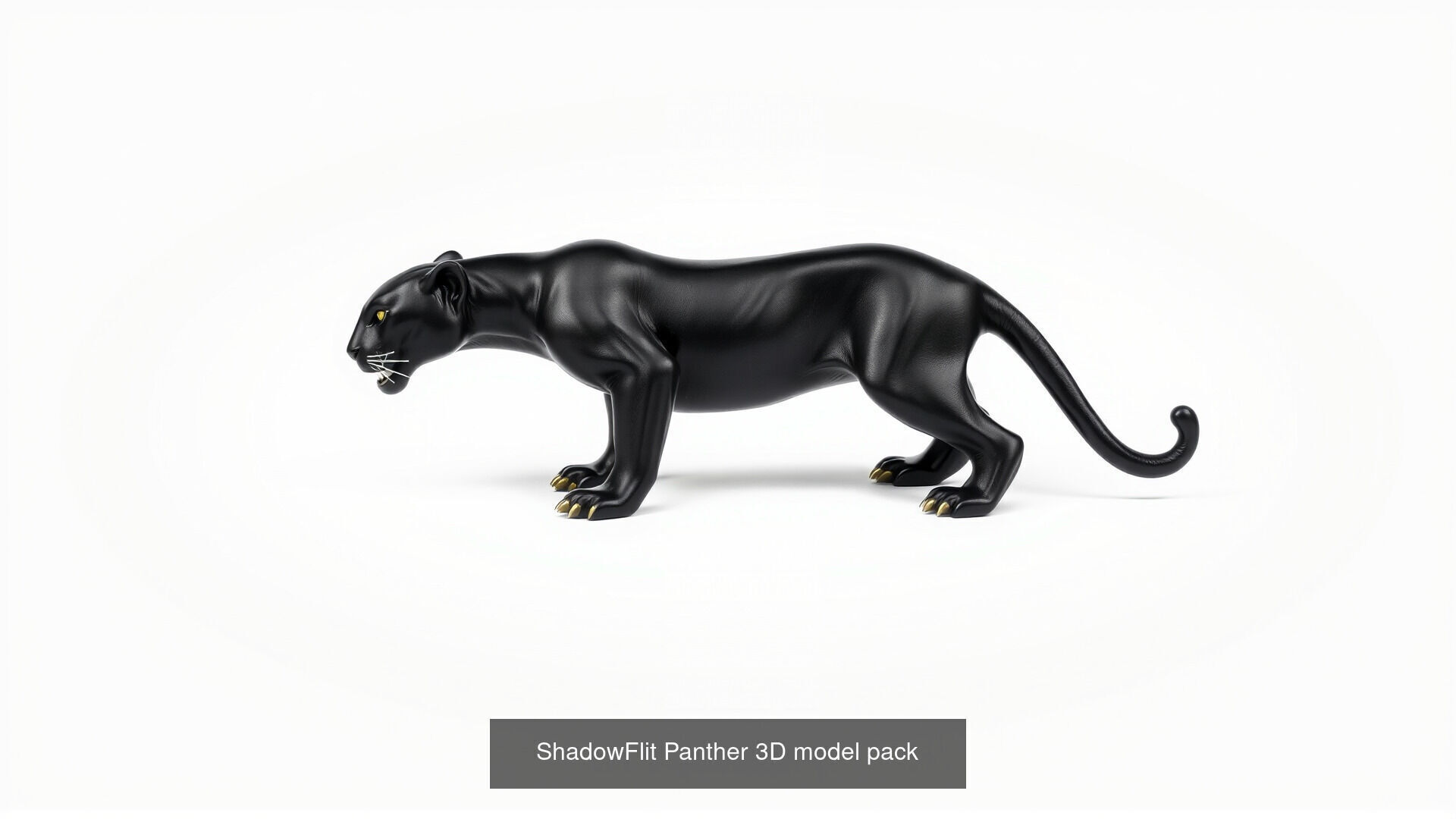 Mammal Animals Model Pack with Fish Dog Bird Cat 3D Model Collection_20