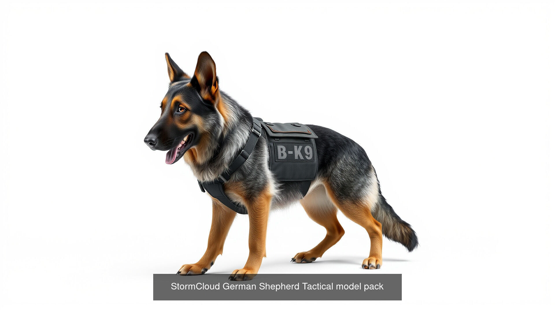 Mammal Animals Model Pack with Fish Dog Bird Cat 3D Model Collection_13