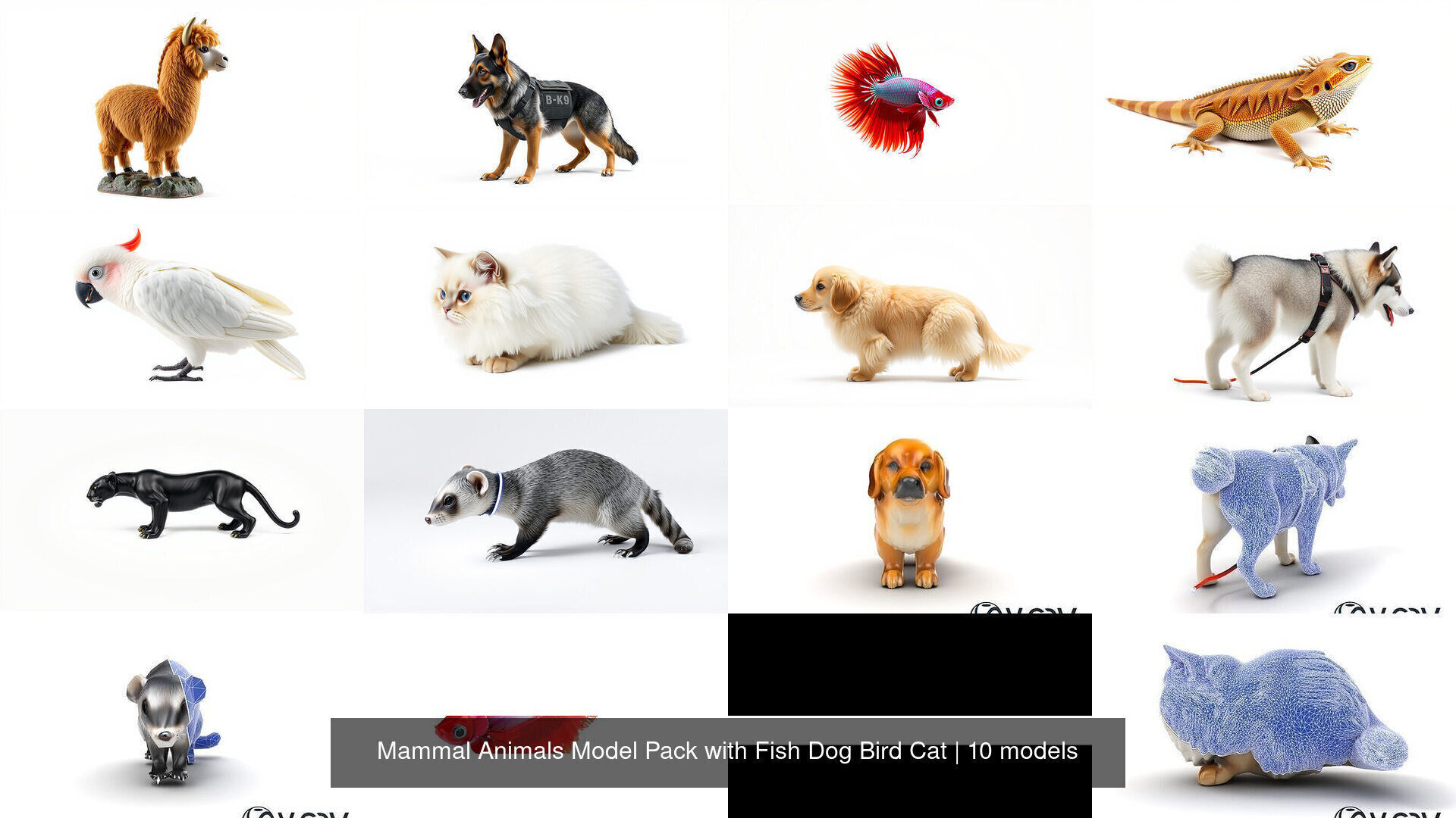 Mammal Animals Model Pack with Fish Dog Bird Cat 3D Model Collection_14