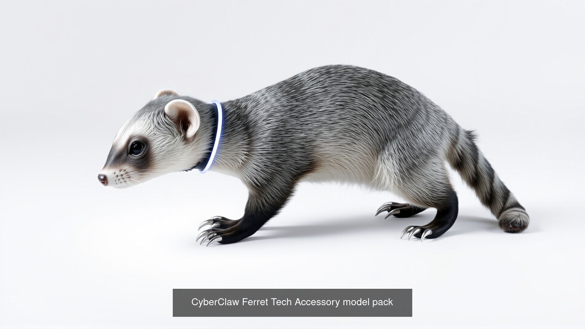 Mammal Animals Model Pack with Fish Dog Bird Cat 3D Model Collection_21