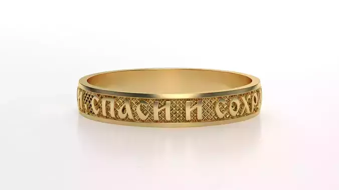 Ring save and protect 3D print model