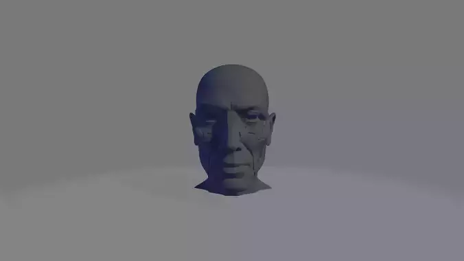 Realistic Human Face 