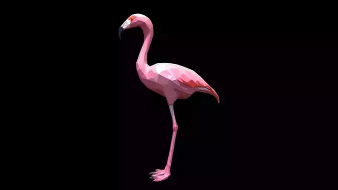 Flamingo Bird 3d Model