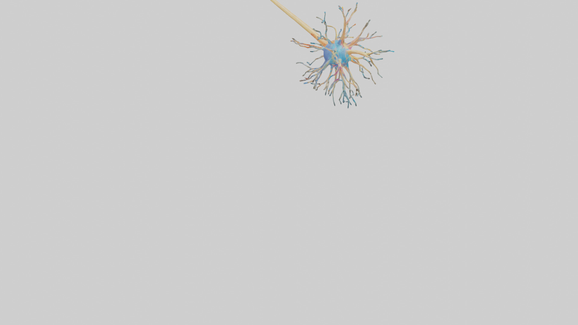 Human Nerve Cells Model Low-poly 3D model_4