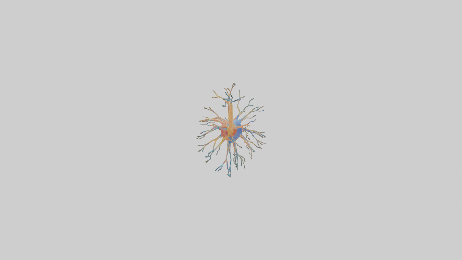 Human Nerve Cells Model Low-poly 3D model_12