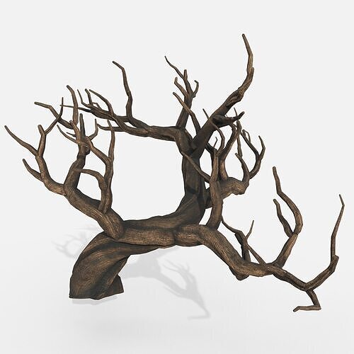 Aquarium Snag V31 3D model