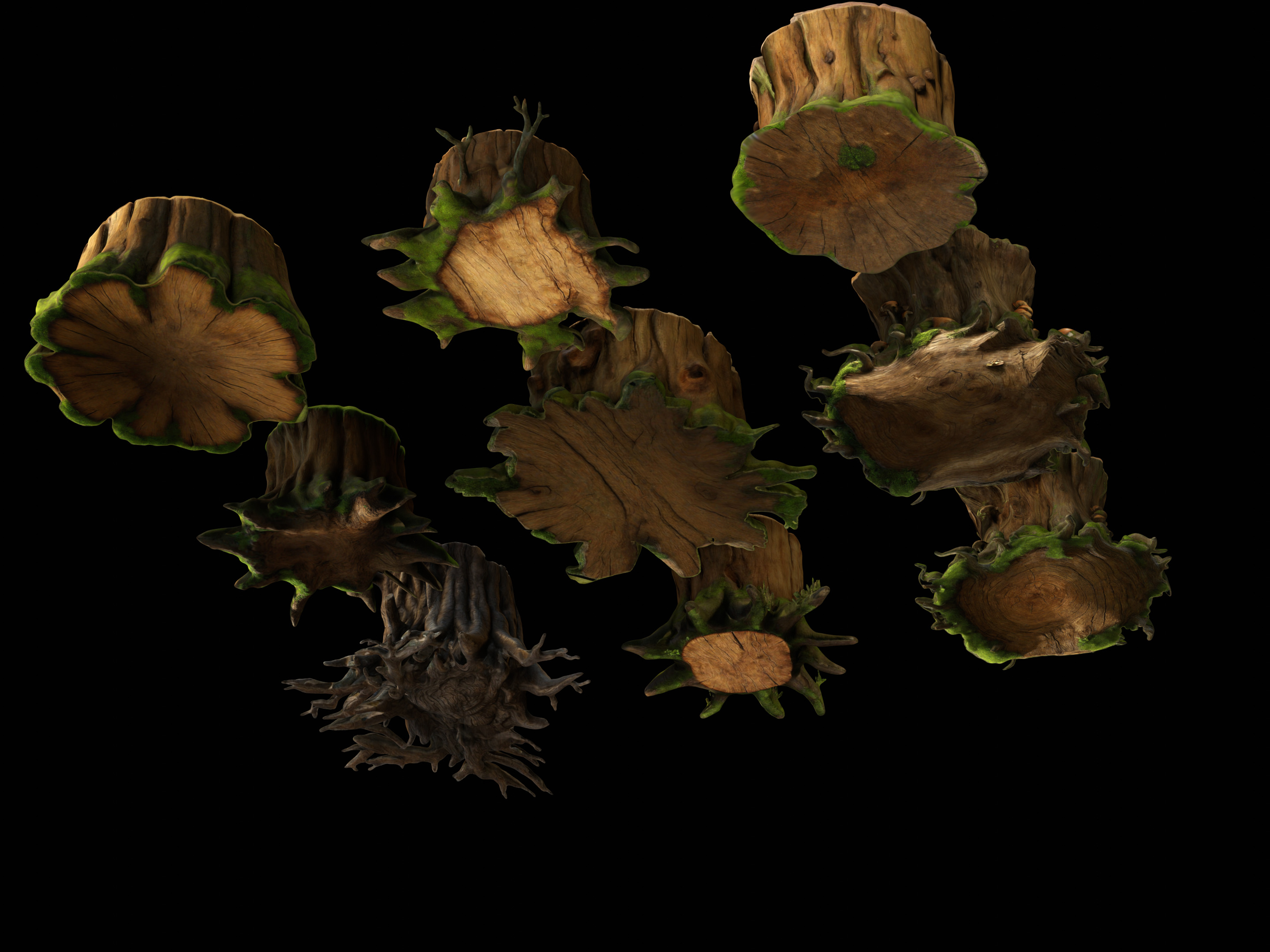 Tree Stumps Pack Low-poly 3D model_9