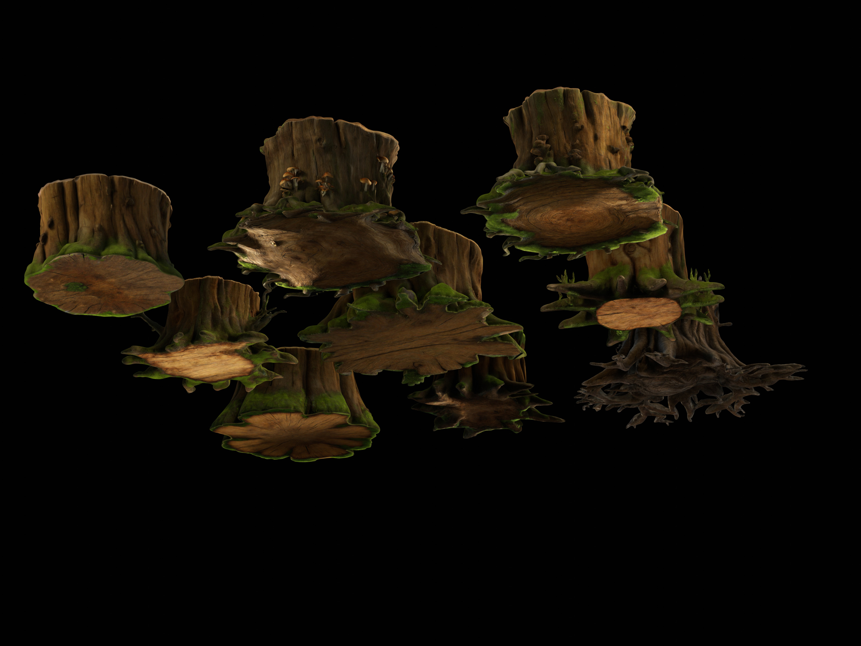 Tree Stumps Pack Low-poly 3D model_10