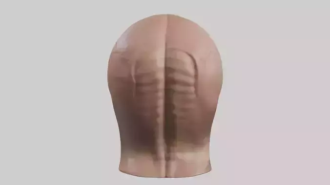 Human Skin Model