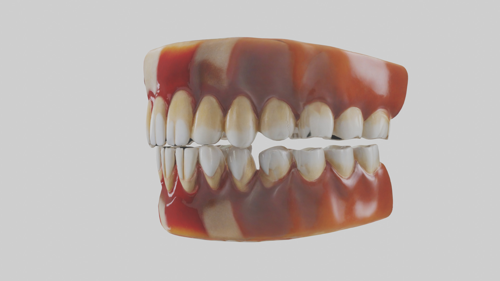 Human Teeth Enamel Model Low-poly 3D model_10