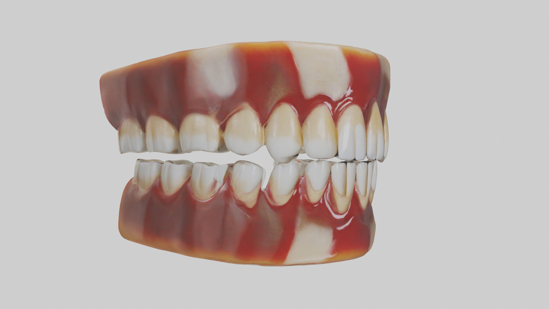 Human Teeth Enamel Model Low-poly 3D model_7
