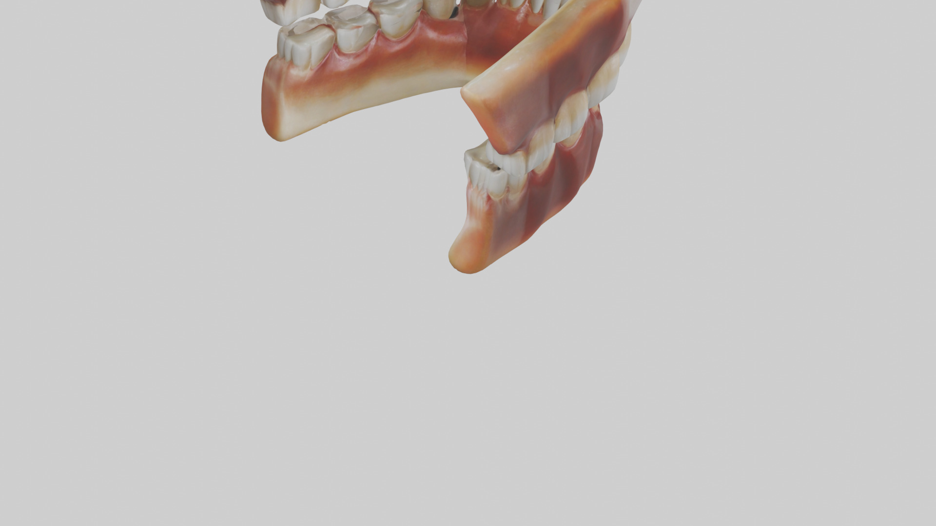 Human Teeth Enamel Model Low-poly 3D model_4