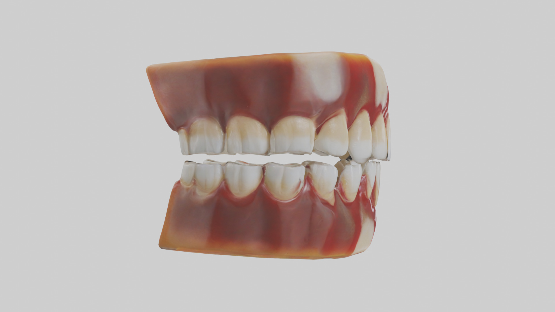 Human Teeth Enamel Model Low-poly 3D model_13
