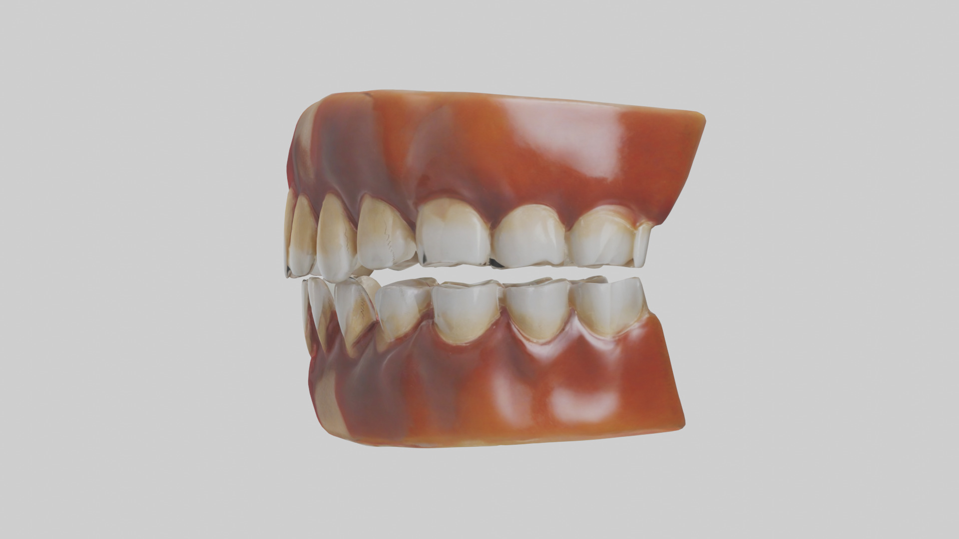 Human Teeth Enamel Model Low-poly 3D model_12