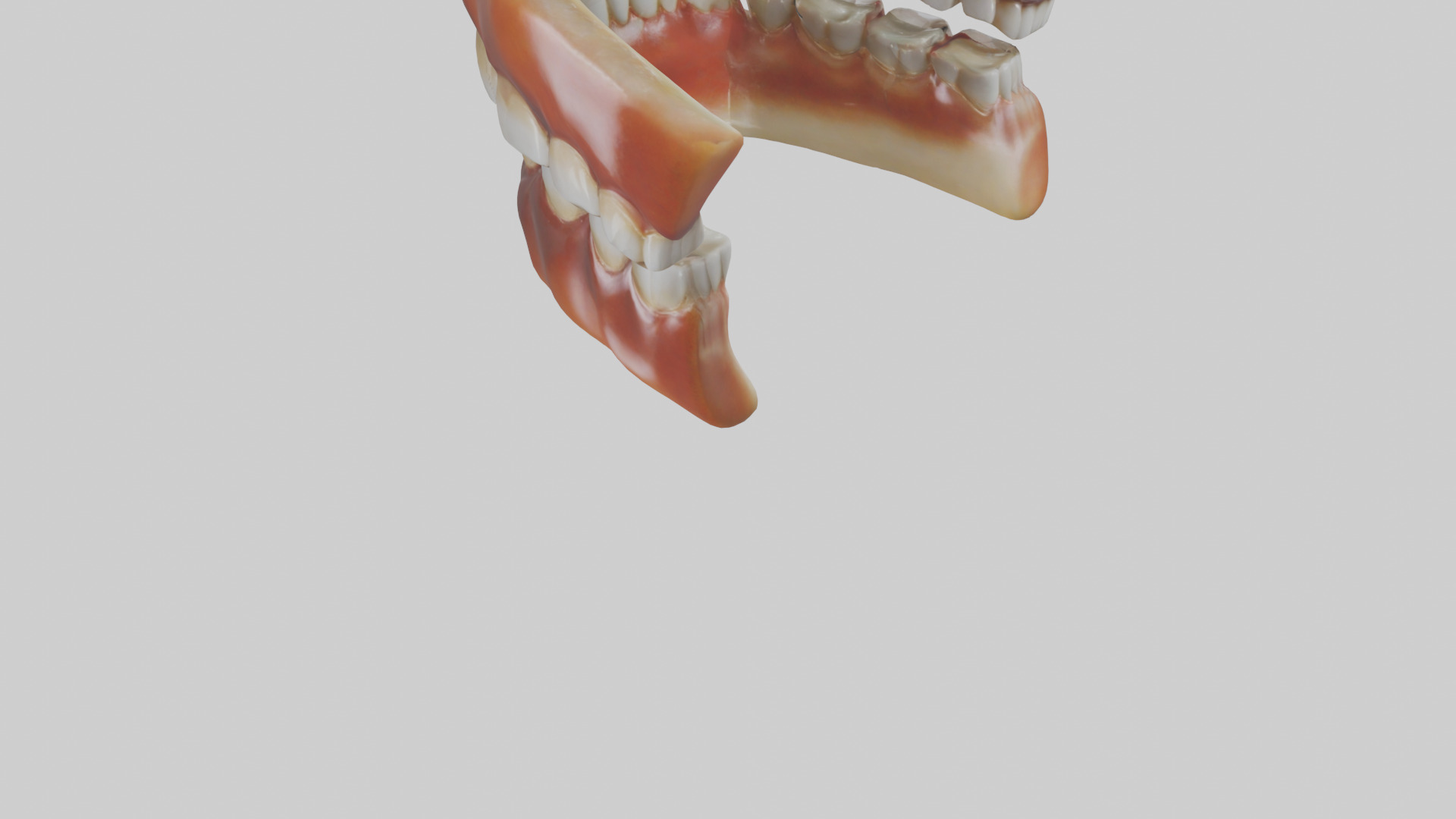 Human Teeth Enamel Model Low-poly 3D model_3