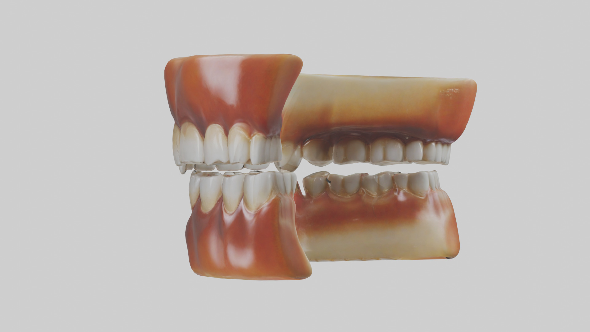 Human Teeth Enamel Model Low-poly 3D model_1
