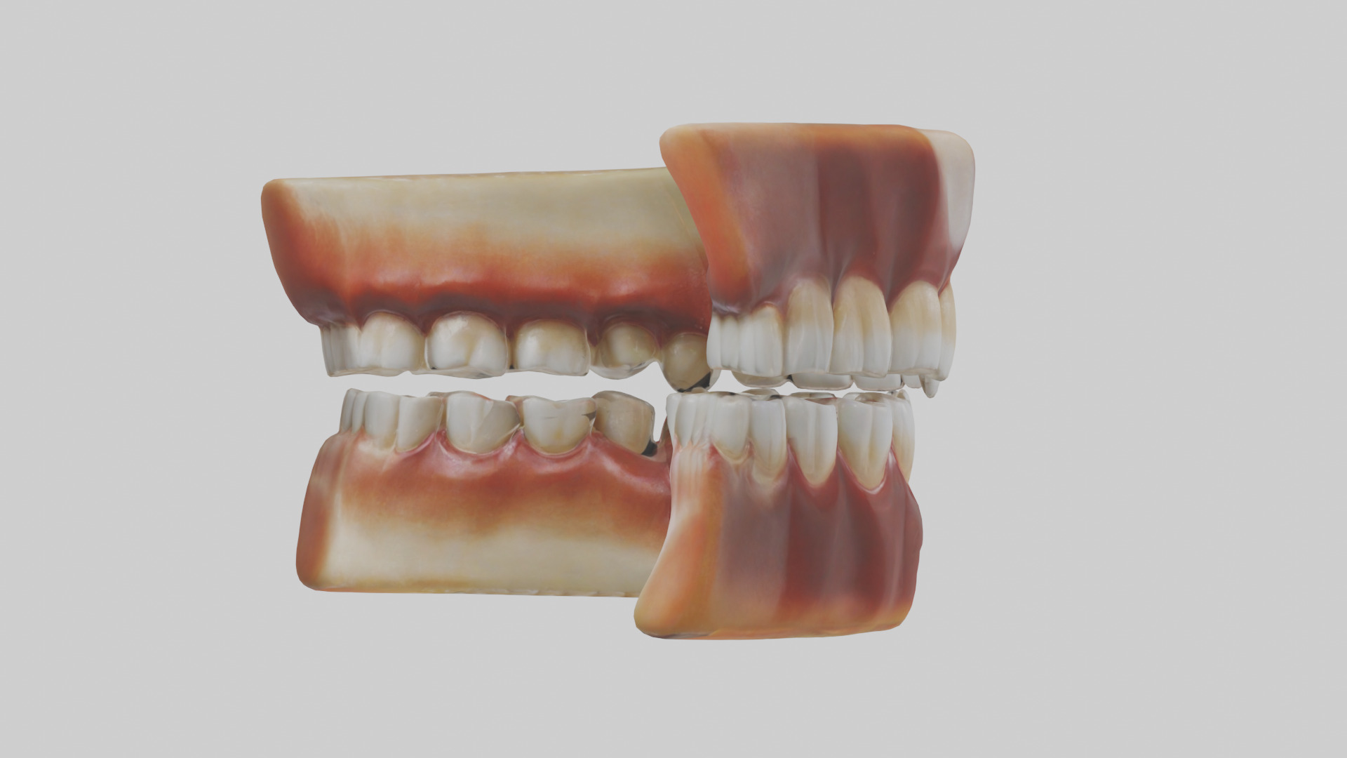 Human Teeth Enamel Model Low-poly 3D model_2
