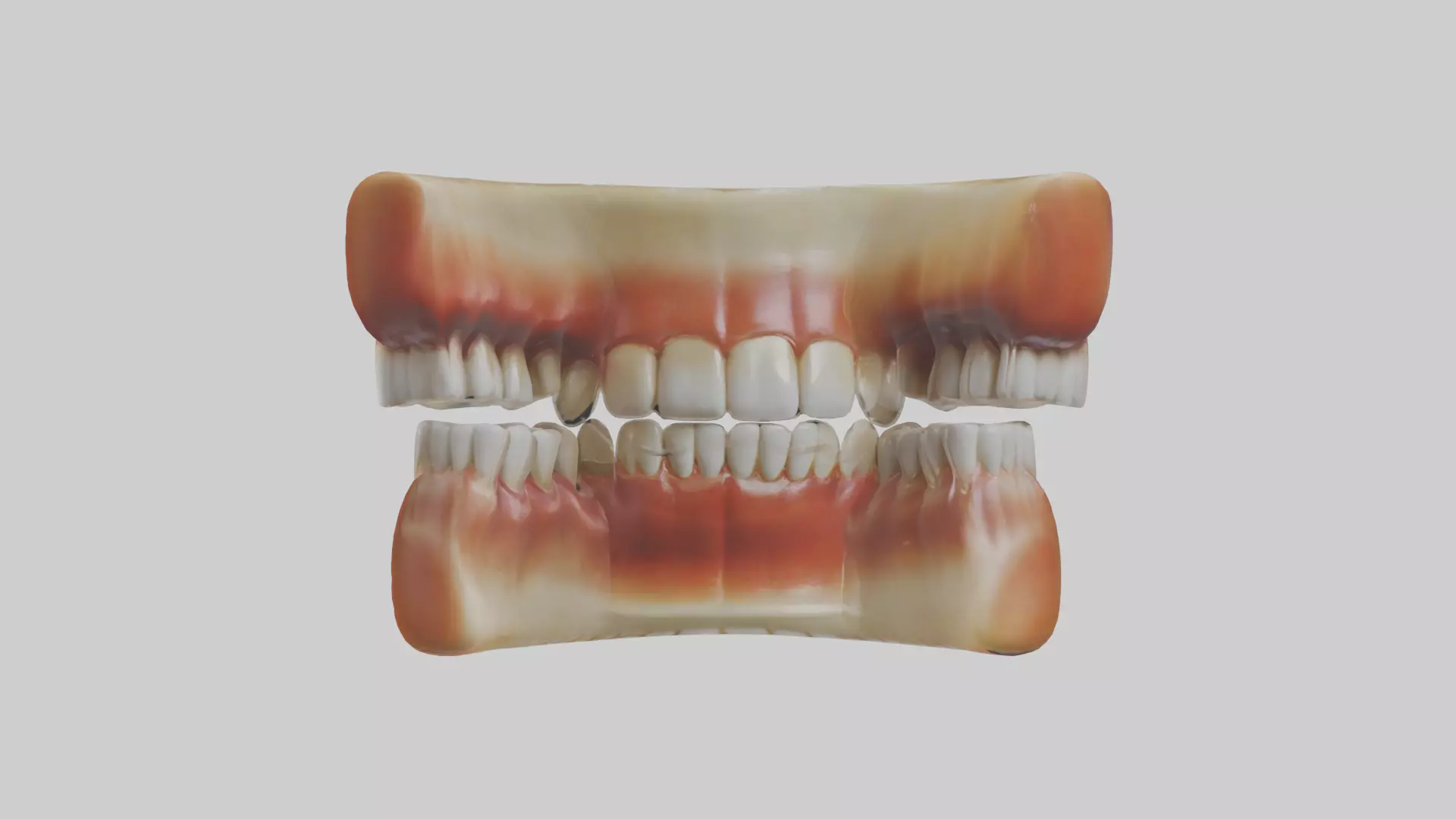 Human Teeth Enamel Model Low-poly 3D model_0