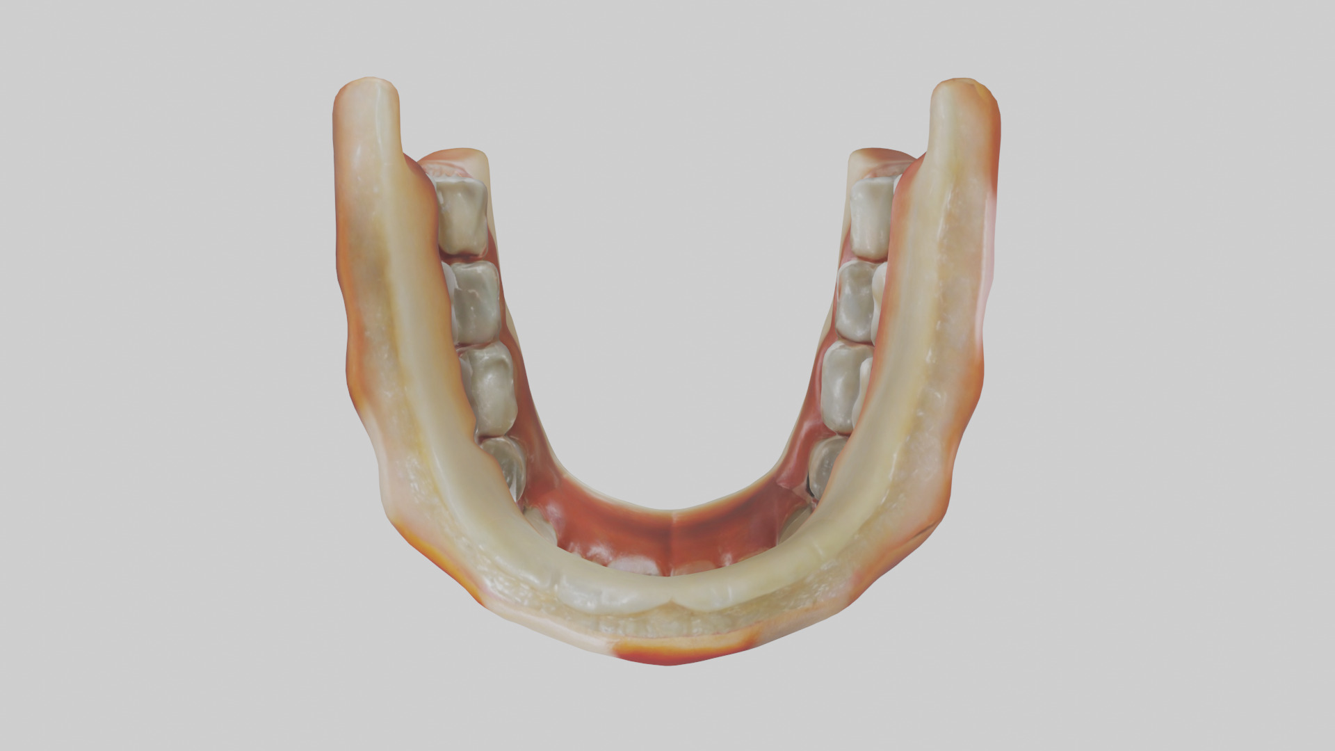 Human Teeth Enamel Model Low-poly 3D model_14
