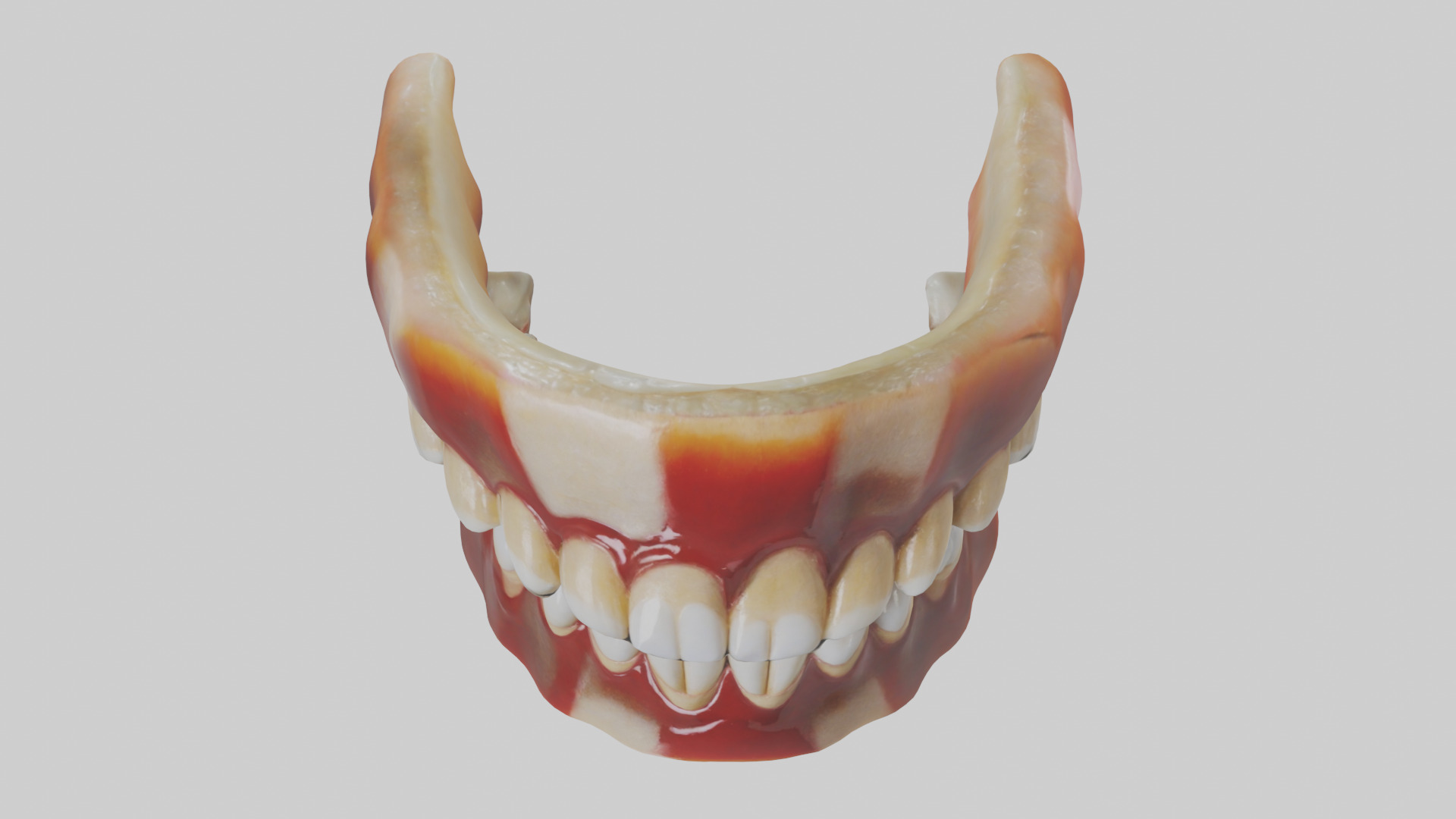 Human Teeth Enamel Model Low-poly 3D model_16