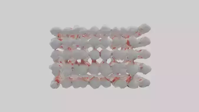 Human White Blood Cells Model