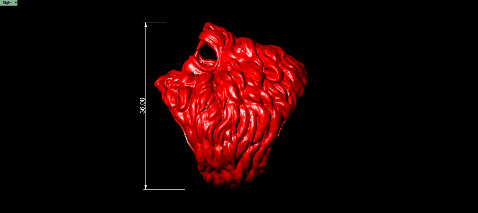 LION RING  3D print model_3
