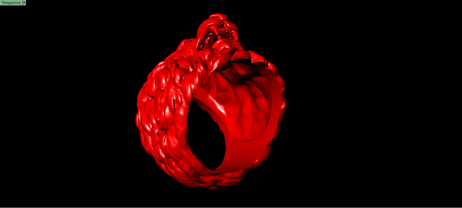 LION RING  3D print model_8