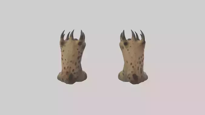 Hyena Paws Model Low-poly 3D model