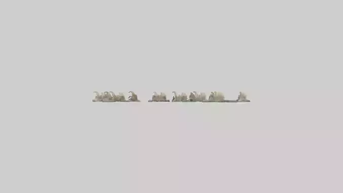 Hyena Teeth Model Low-poly 3D model