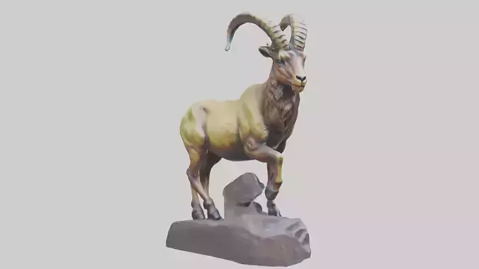 Ibex statue model