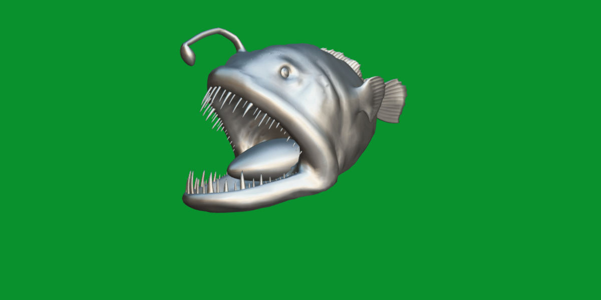 Angler Fish Low-poly 3D model_18
