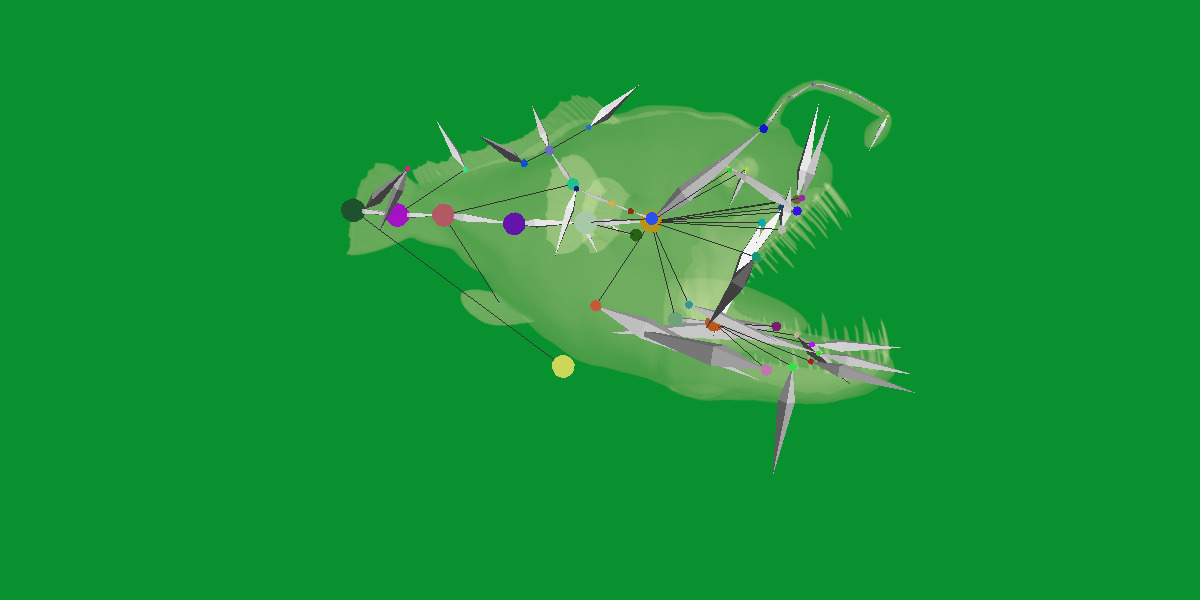 Angler Fish Low-poly 3D model_35