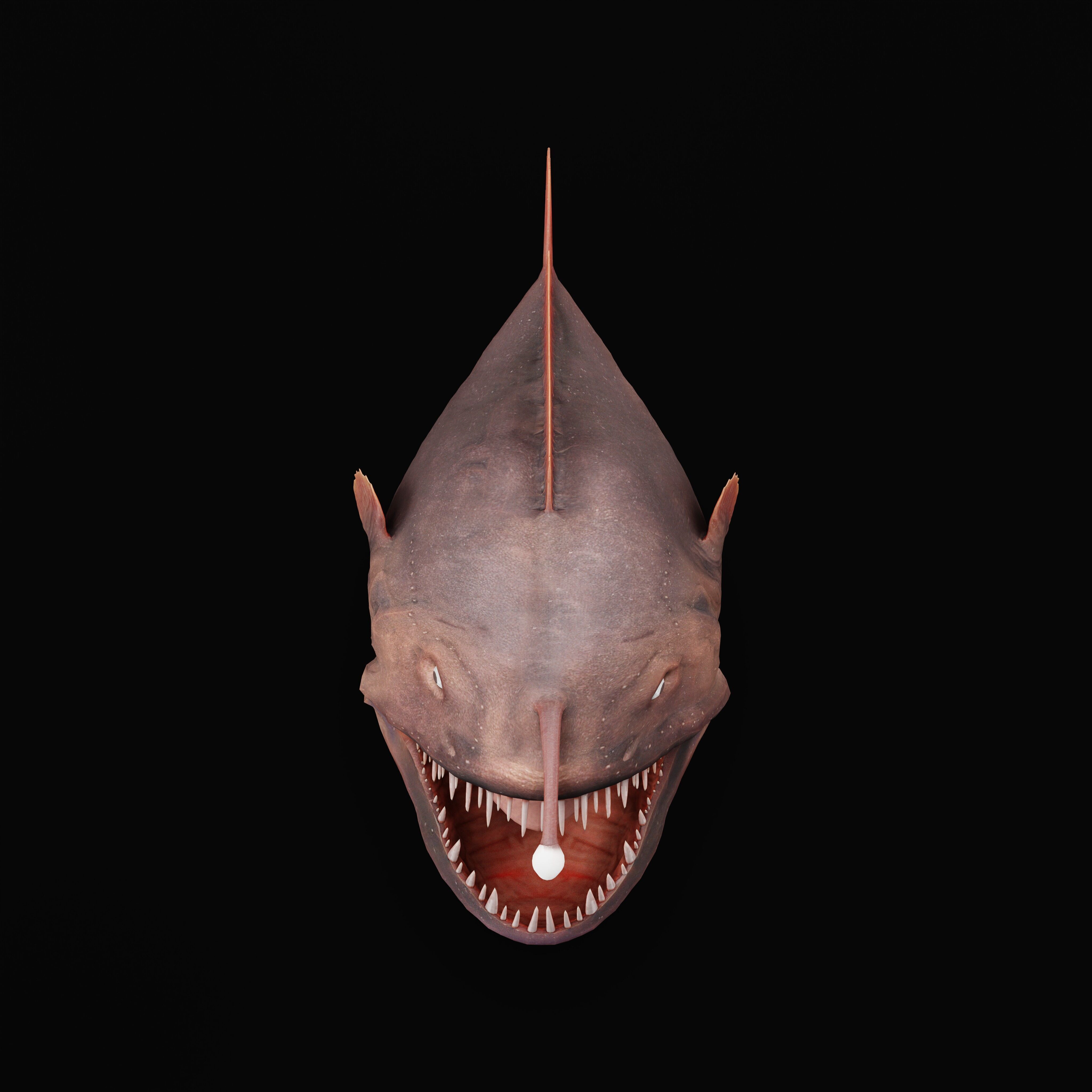 Angler Fish Low-poly 3D model_42