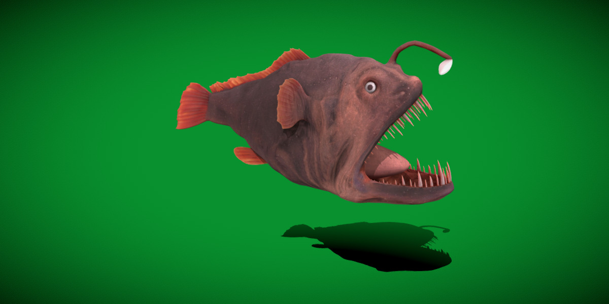 Angler Fish Low-poly 3D model_33