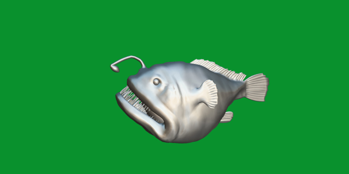 Angler Fish Low-poly 3D model_17