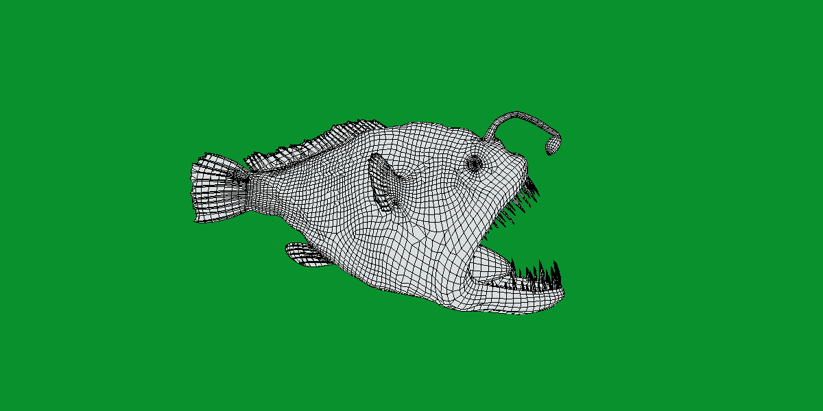 Angler Fish Low-poly 3D model_22
