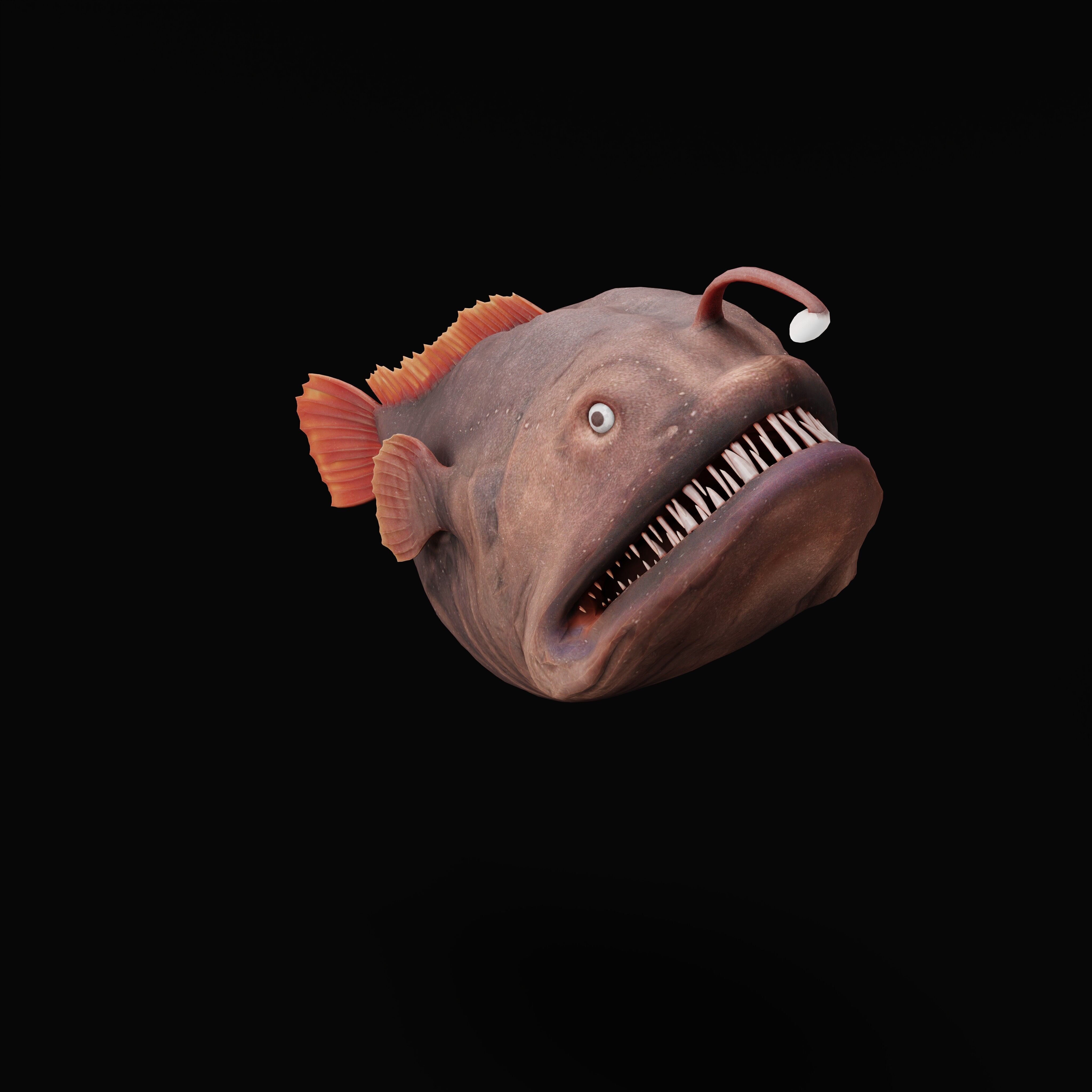 Angler Fish Low-poly 3D model_45
