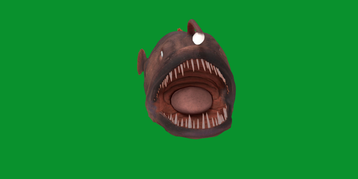 Angler Fish Low-poly 3D model_31