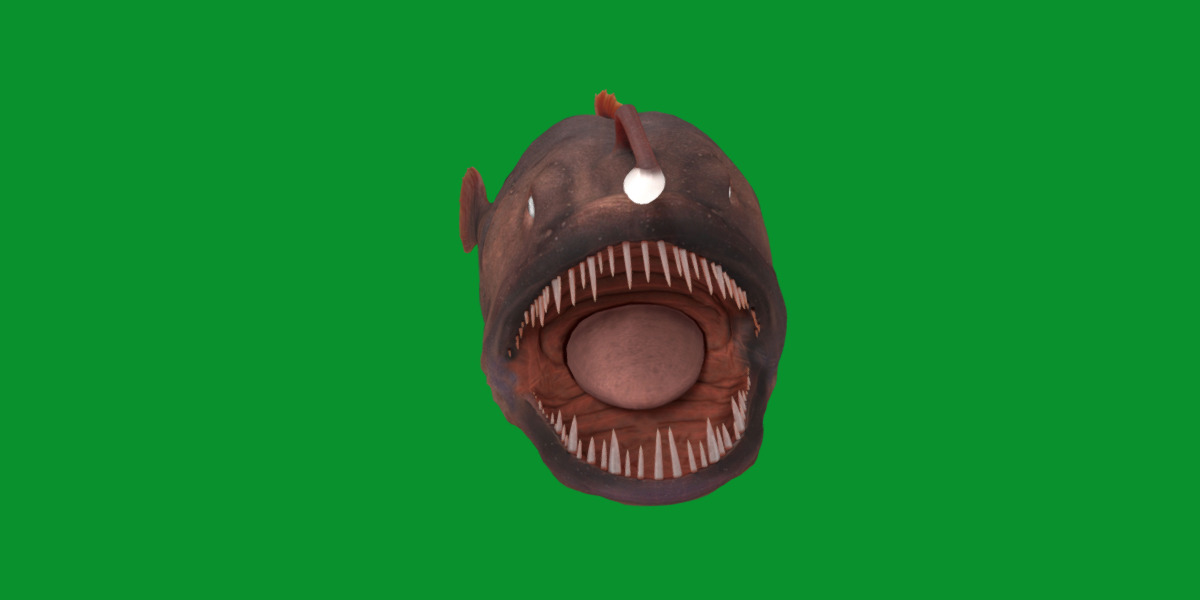 Angler Fish Low-poly 3D model_6