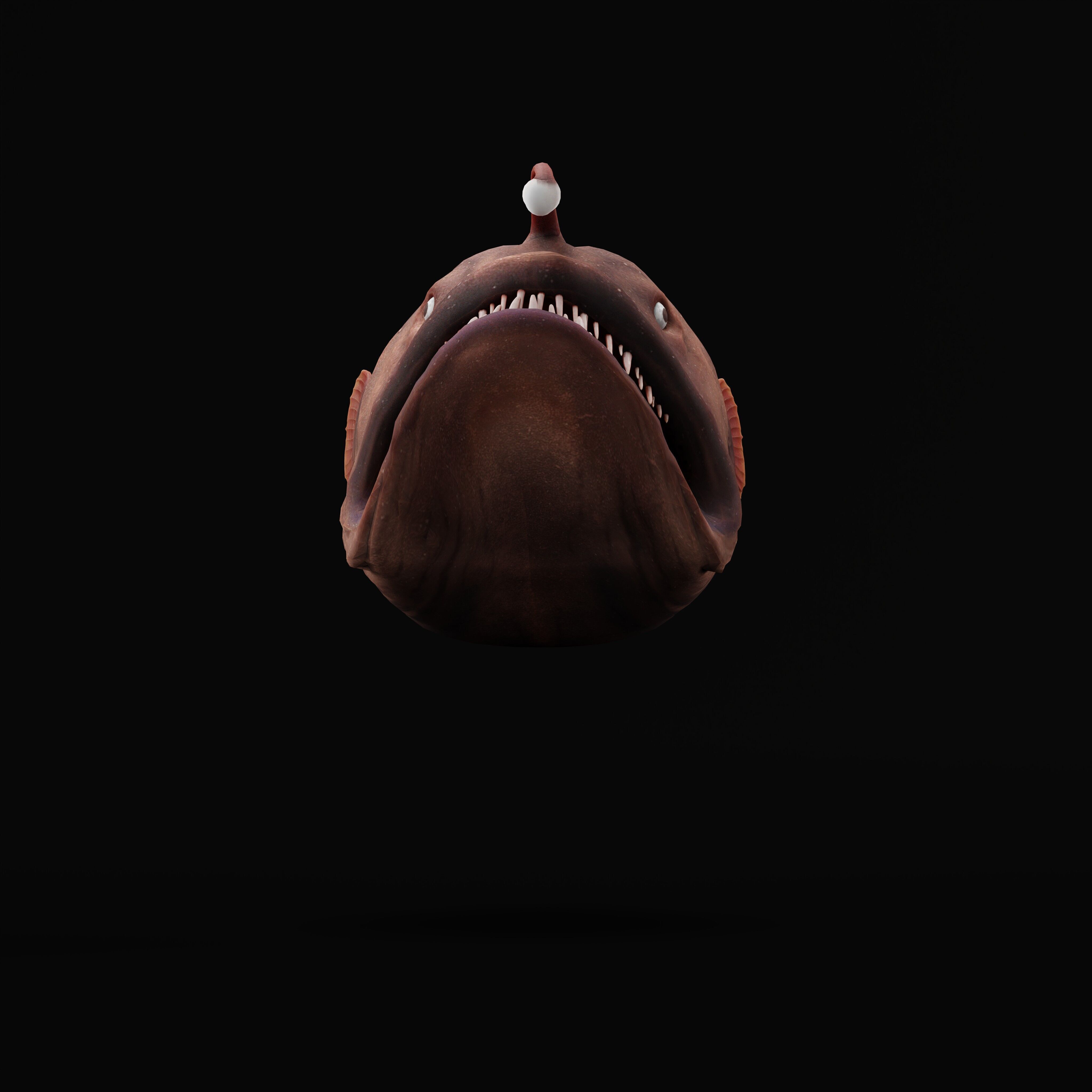Angler Fish Low-poly 3D model_44