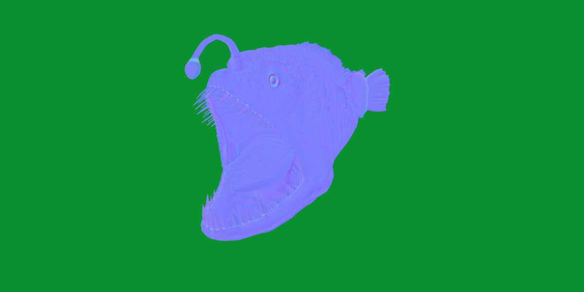 Angler Fish Low-poly 3D model_9