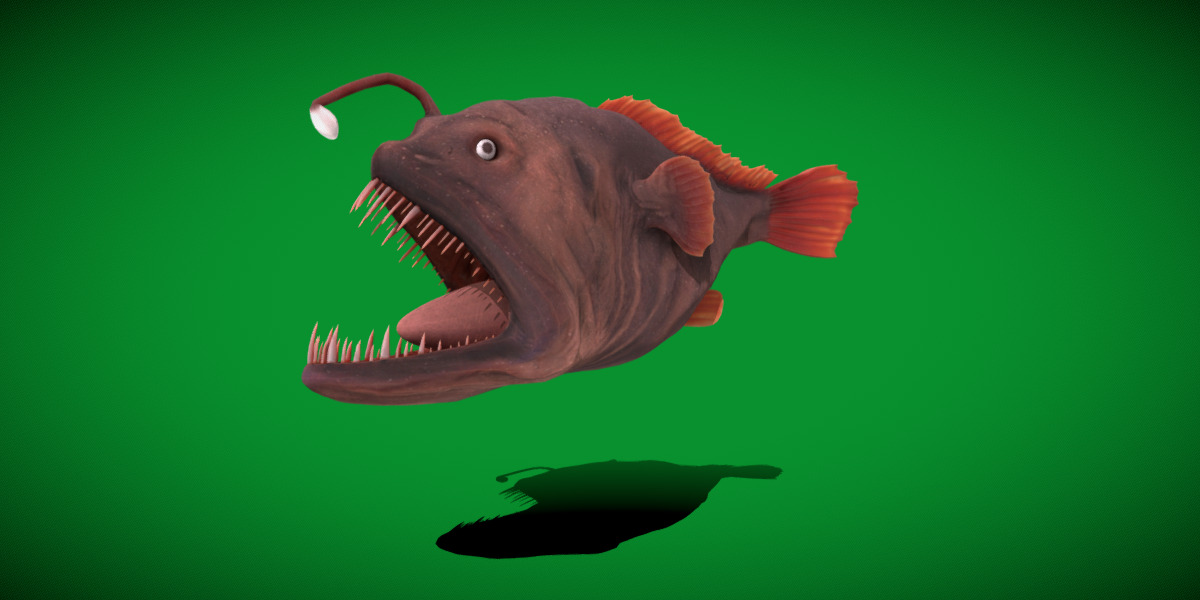Angler Fish Low-poly 3D model_5