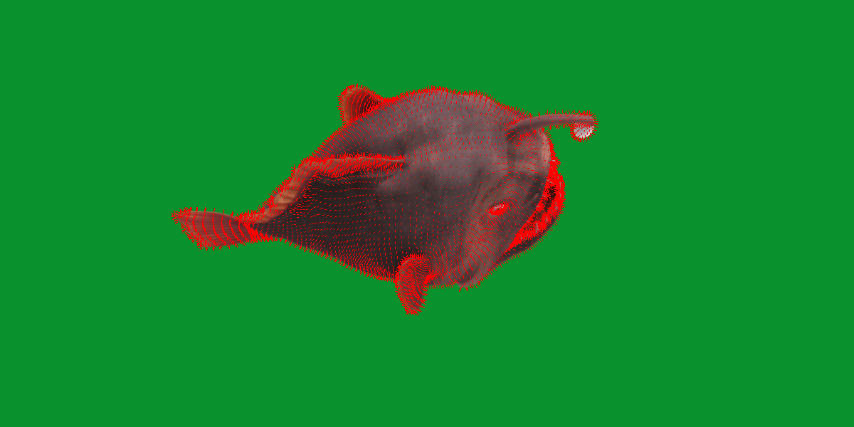 Angler Fish Low-poly 3D model_24