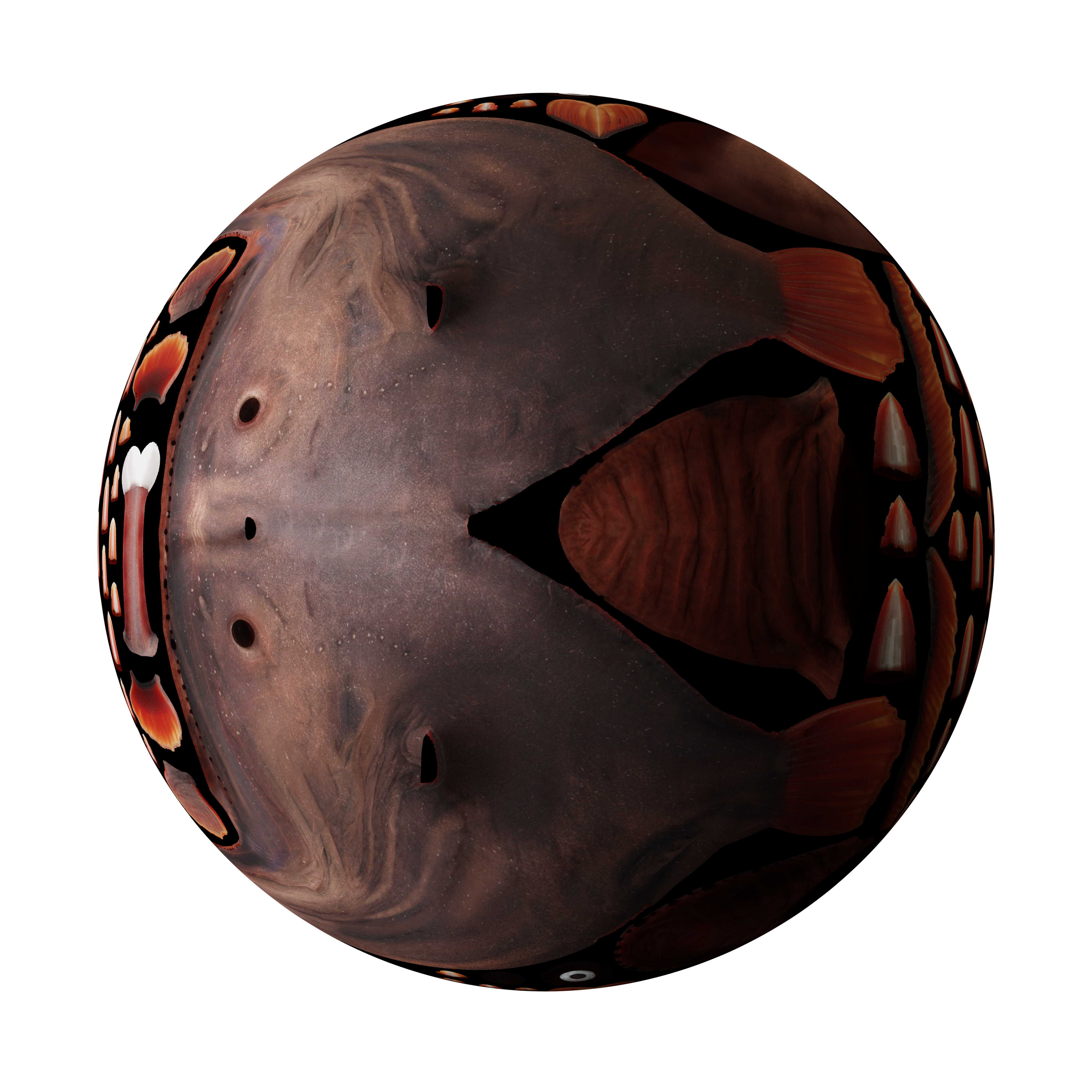 Angler Fish Low-poly 3D model_38