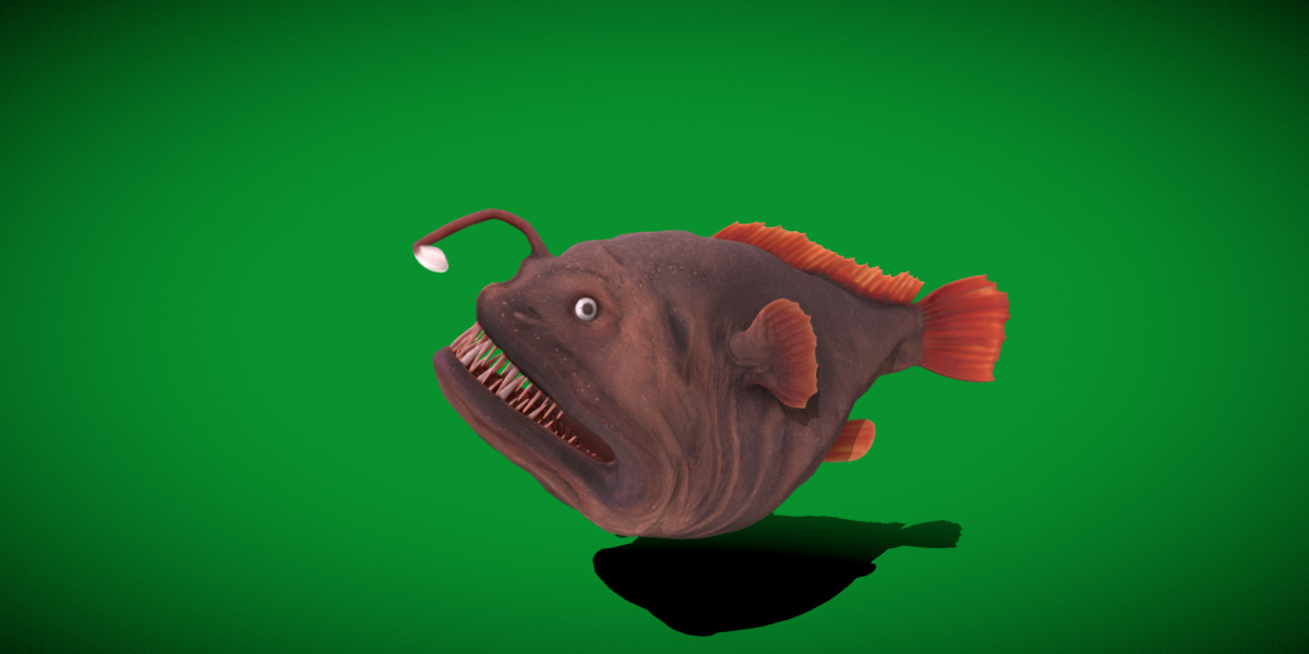 Angler Fish Low-poly 3D model_11