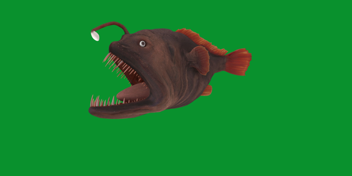 Angler Fish Low-poly 3D model_27