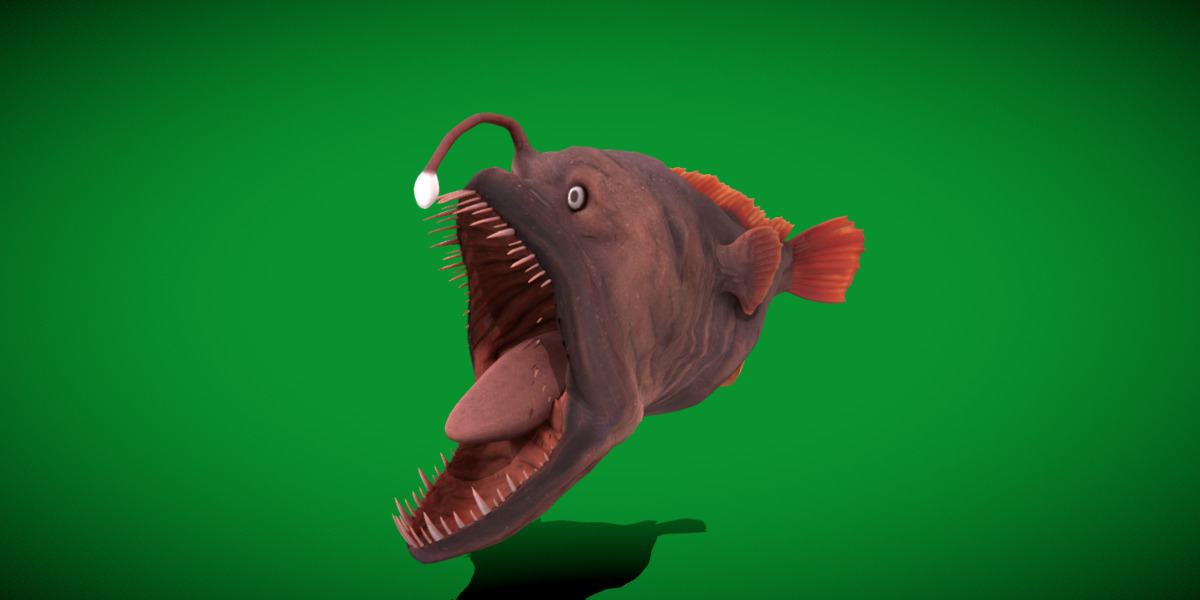 Angler Fish Low-poly 3D model_30