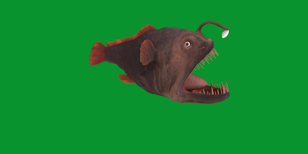 Angler Fish Low-poly 3D model_32